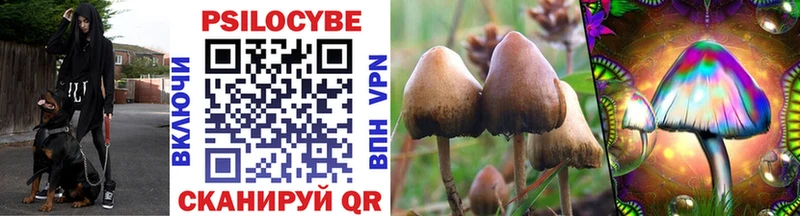 что такое наркотик  Семёнов  Псилоцибиновые грибы прущие грибы 
